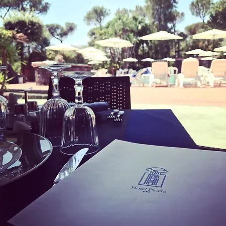 Pineta Hotel