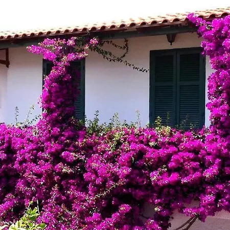 Hotel Pineta Ischia