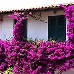 Szálloda Pineta Ischia