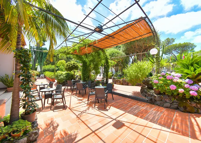Hotel Pineta 3*