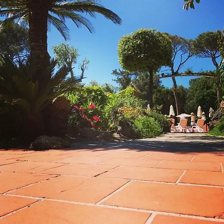 Pineta فندق ايسكيا