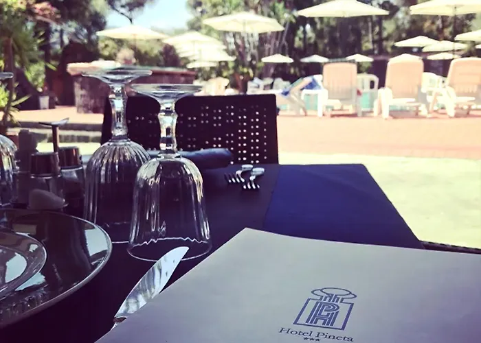 Pineta Hotel