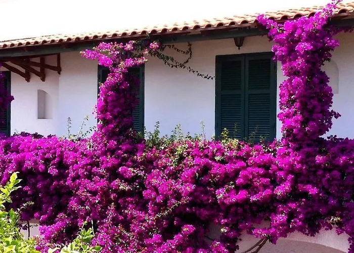 Hotel Pineta Ísquia