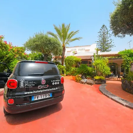 Pineta Ischia