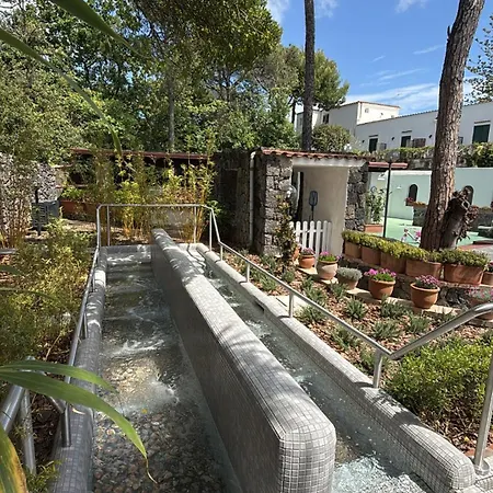 Pineta Hotel Ischia